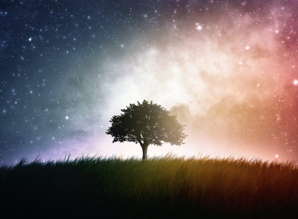 field-of-dreams-study-nonprofit-times