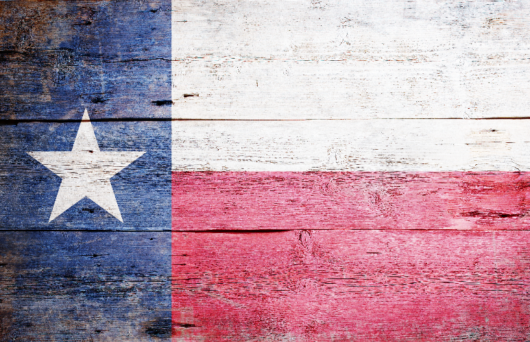 Lone Star Nonprofits Face Regional Challenges