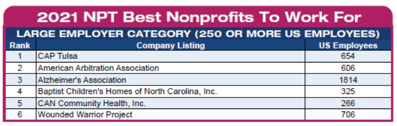 NPT Large Nonprofits
