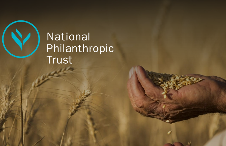 National Philanthropic Trust Processed Record Number Of Grants