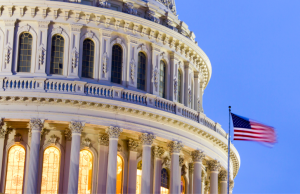 Don’t Say Earmarks: $1.7B For NPOs From Designated Congressional Spending