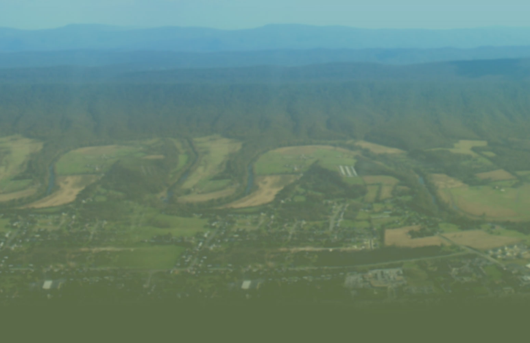 Environmental NPO Makes Trash Bloom While Raising Green