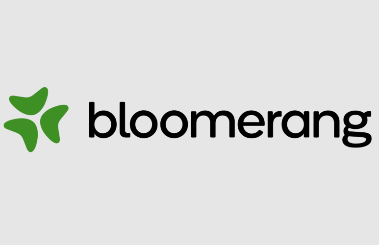 Ross Hendrickson Exiting Bloomerang, Fois New CEO